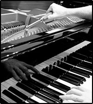 Dave Kaye